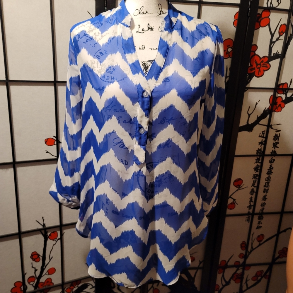 LADIES SHEER BLOUSE WITH STITCHED MOCK COLLAR BUTTON DOWN/SIZE MEDIUM